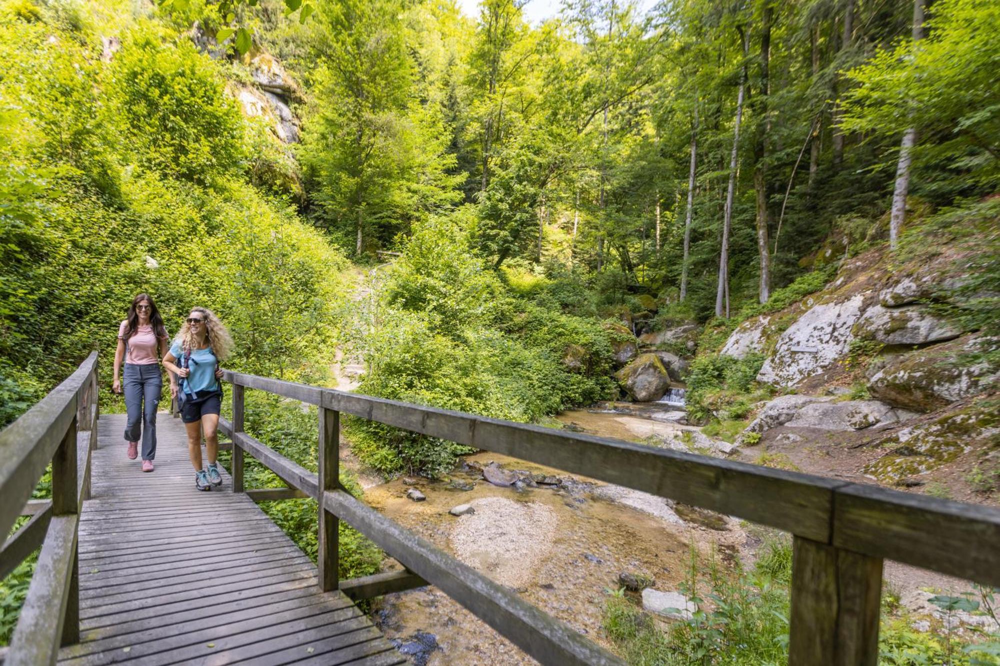 דירות Saming Am Wildbach Bei Passau מראה חיצוני תמונה