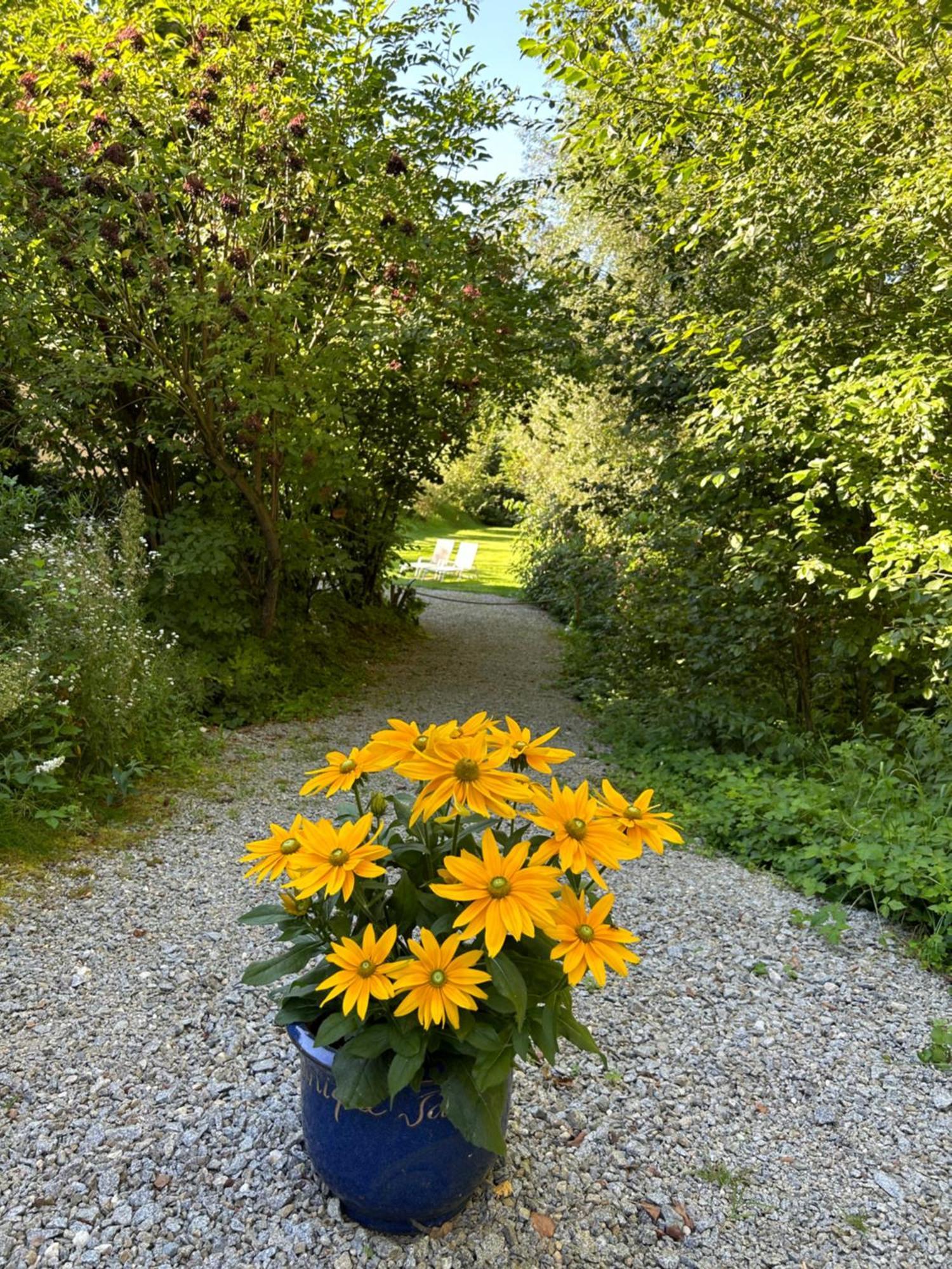 דירות Saming Am Wildbach Bei Passau מראה חיצוני תמונה